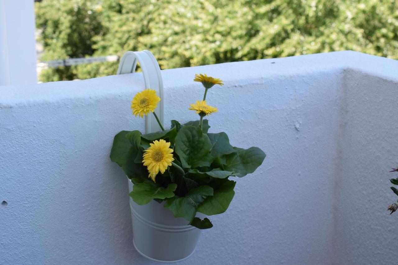 Peneco Ii Apartment Albufeira